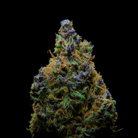 Green Dream Indica